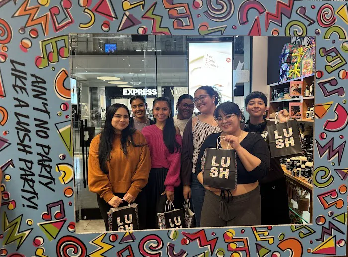 Lush Cosmetics Westchester 3