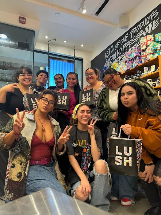 Lush Cosmetics Westchester 9