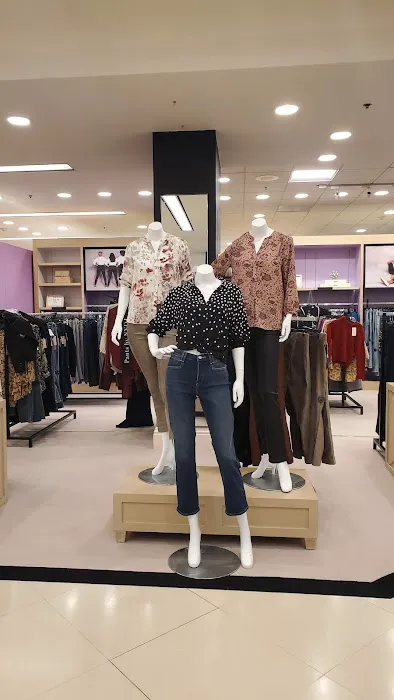 Bloomingdale's 1