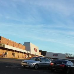 Roses Discount Store ico