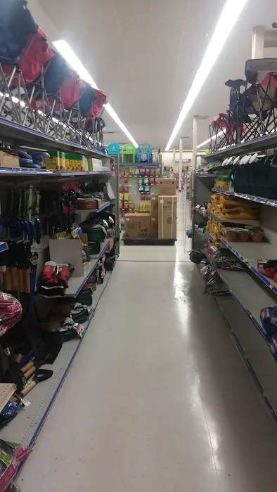Roses Discount Store 4
