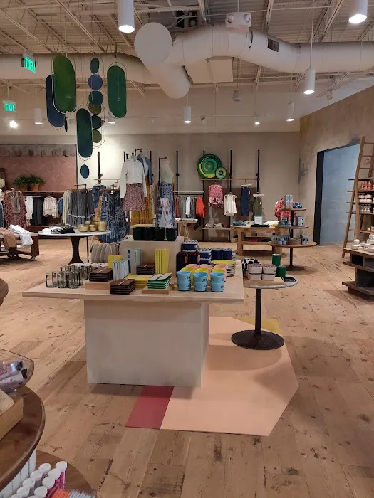 Anthropologie 0
