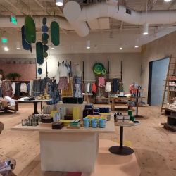 Anthropologie ico