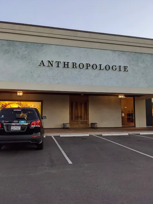 Anthropologie 2