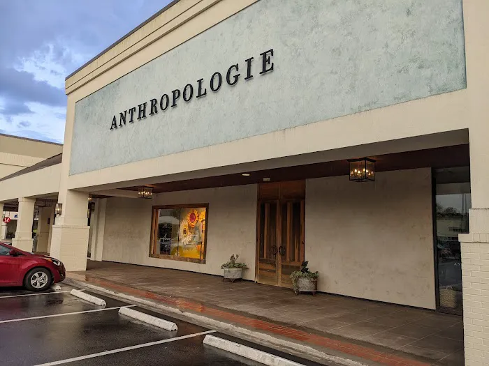 Anthropologie 3