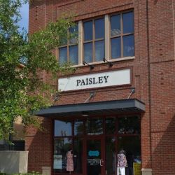 Paisley of Daniel Island ico