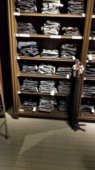 Hollister Co. 1