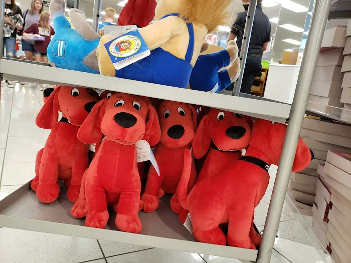Kohl's 8