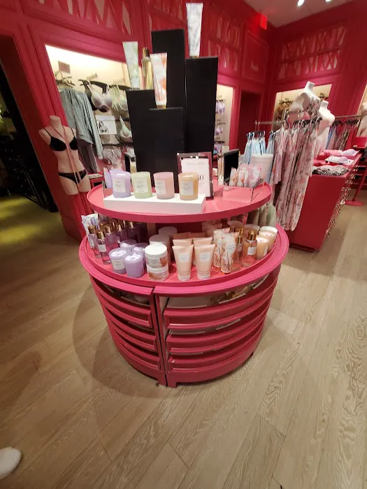 Victoria's Secret & PINK by Victoria's Secret 2