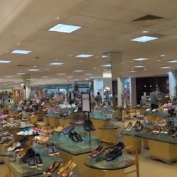 Dillard's ico