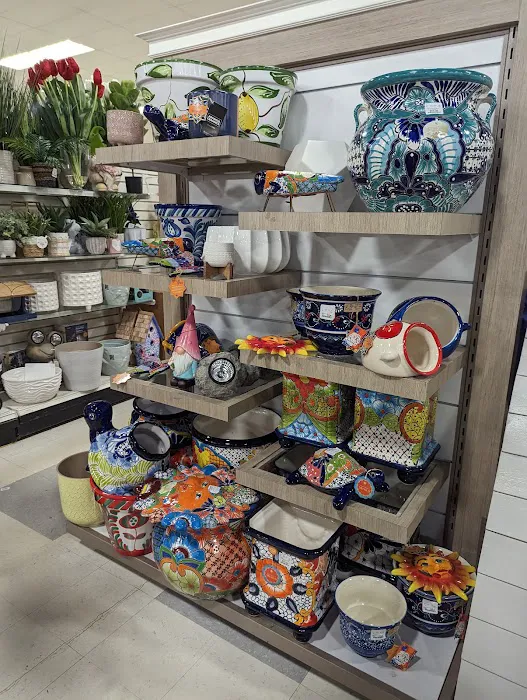 T.J. Maxx & HomeGoods 3
