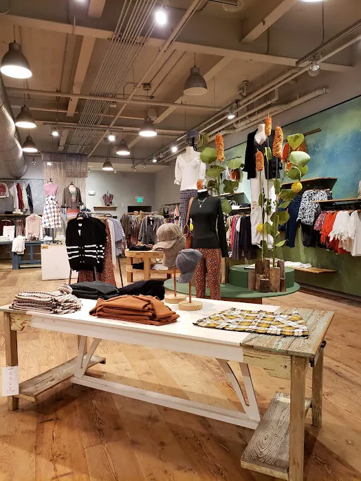 Anthropologie 4