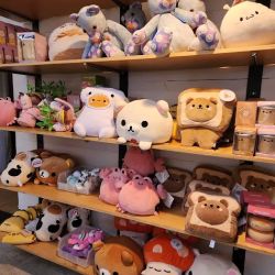 Urban Outfitters ico