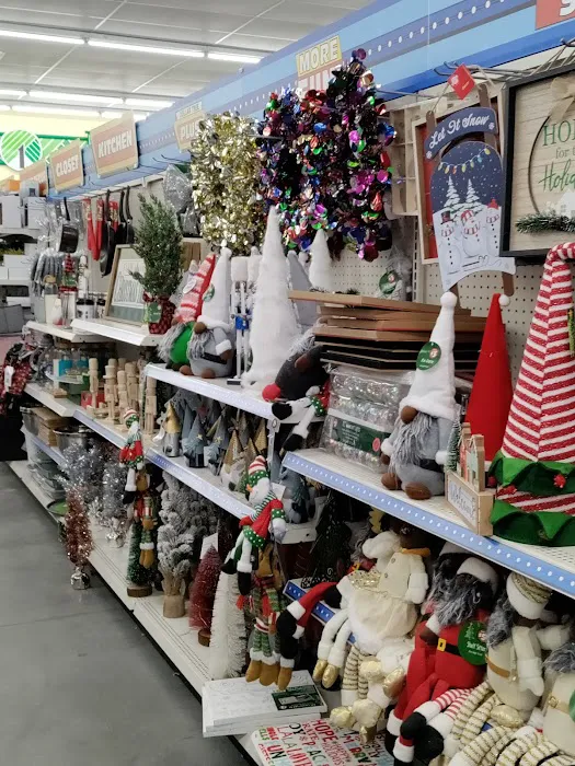 Dollar Tree 2
