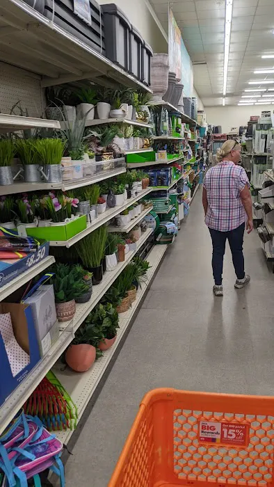 Big Lots 4