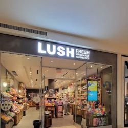 Lush Cosmetics Danbury Fair ico