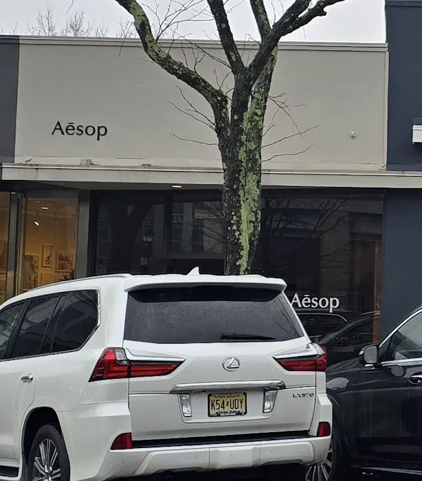Aesop Greenwich Connecticut 8