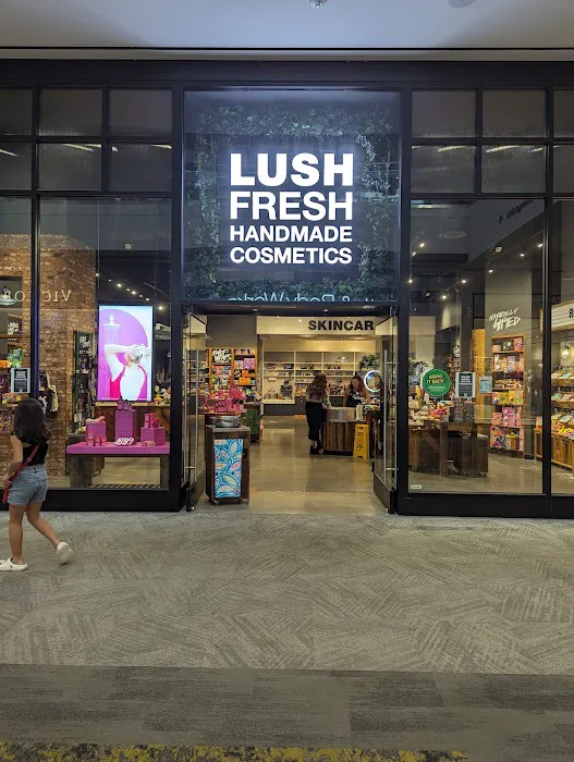 Lush Cosmetics SoNo Collection 1