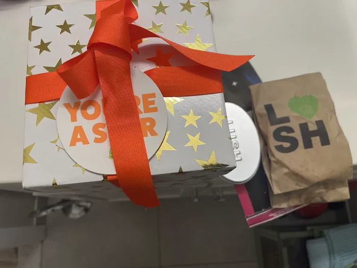 Lush Cosmetics SoNo Collection 7