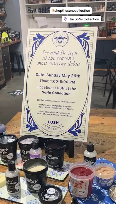 Lush Cosmetics SoNo Collection 9