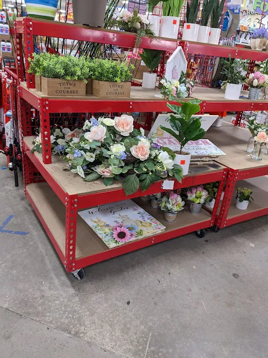 Ollie's Bargain Outlet 1