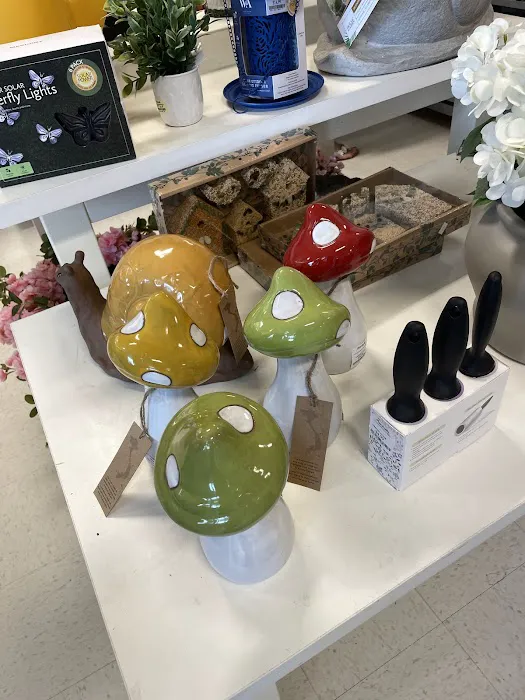 Marshalls 8