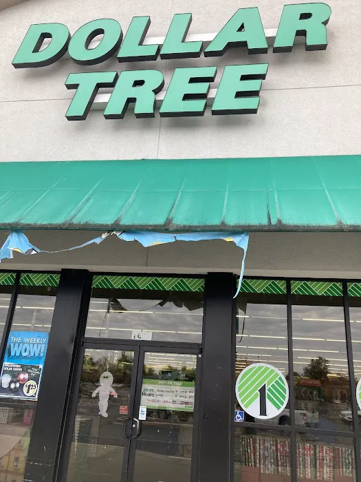Dollar Tree 6