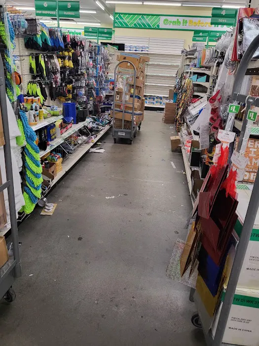 Dollar Tree 9
