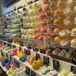 Lush Cosmetics Augusta Mall ico