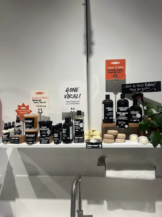 Lush Cosmetics Augusta Mall 7