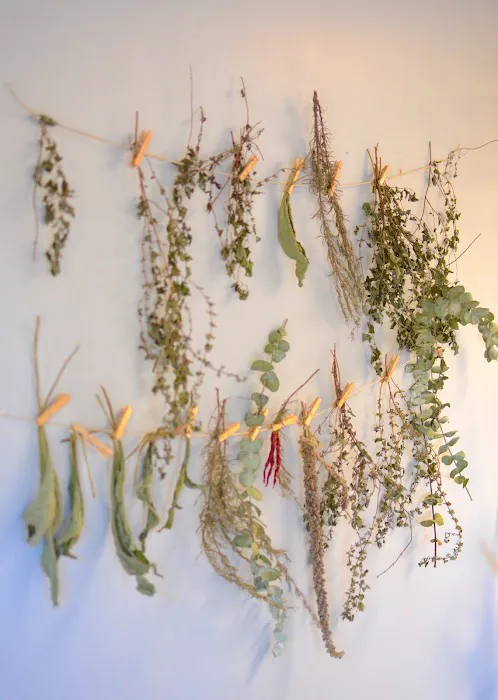 ABĒCA Naturals 7