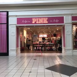 Victoria's Secret & PINK by Victoria's Secret ico
