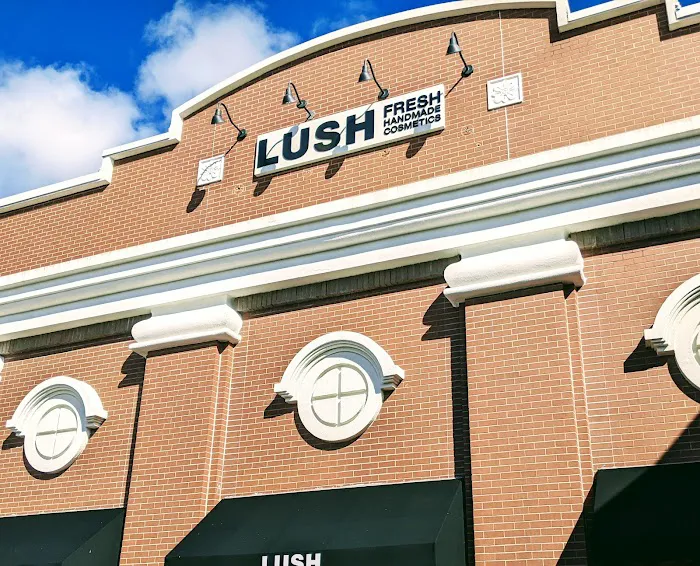 Lush Cosmetics Mount Pleasant 7