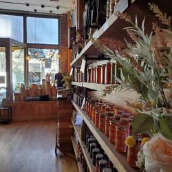 Asheville Bee Charmer ico