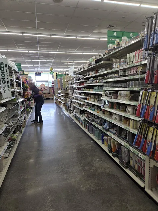 Dollar Tree 3