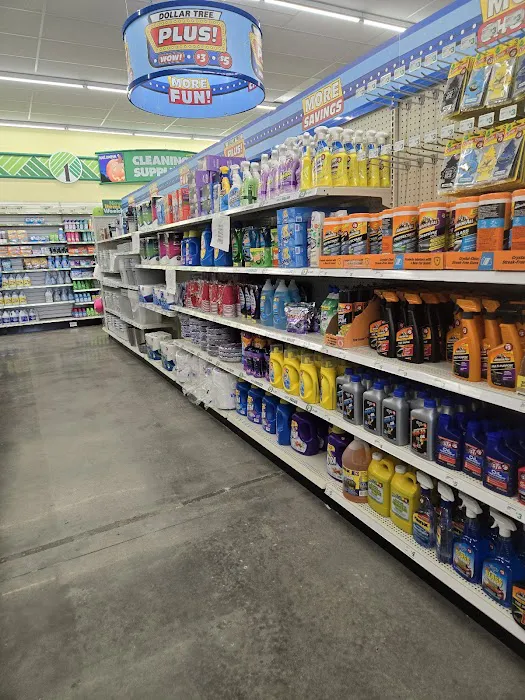 Dollar Tree 7