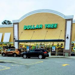Dollar Tree ico