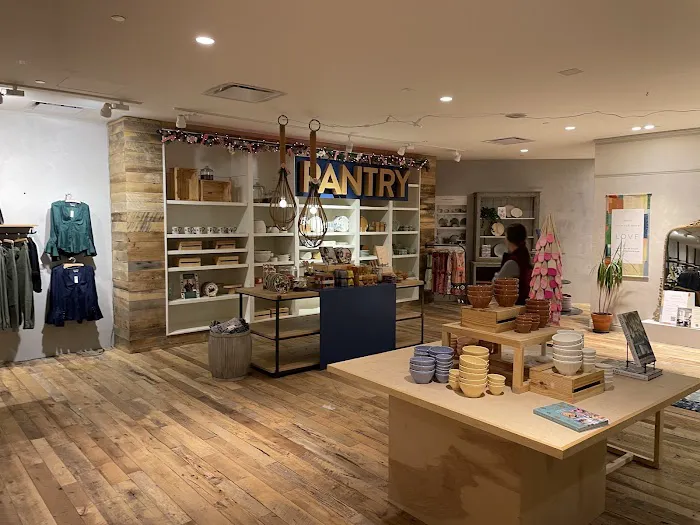 Anthropologie 3