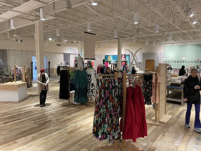 Anthropologie 2