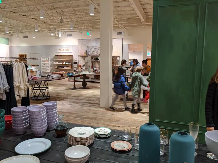 Anthropologie 8