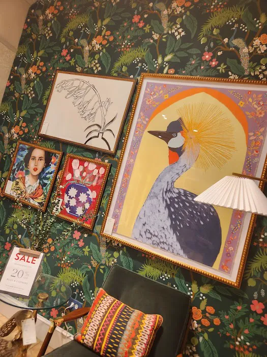 Anthropologie 9