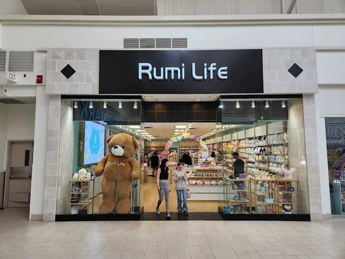 Rumi life 2