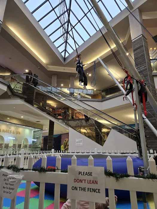 Macy's 5