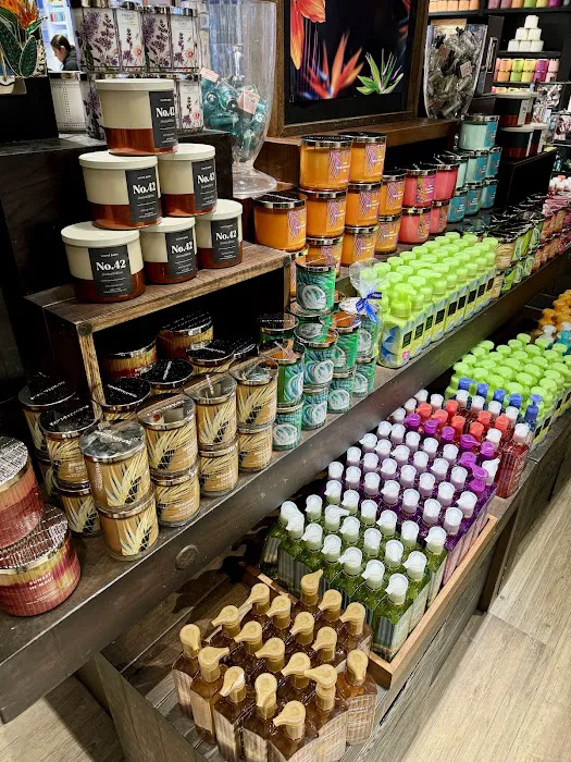 Bath & Body Works 8