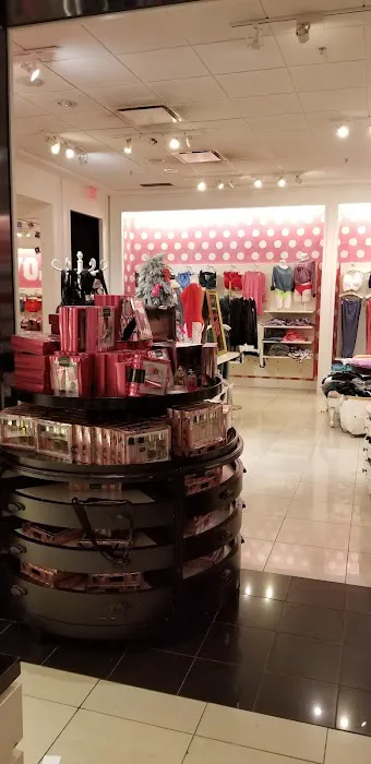 Victoria's Secret & PINK by Victoria's Secret 2