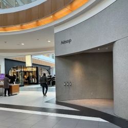Aesop Roosevelt Field ico