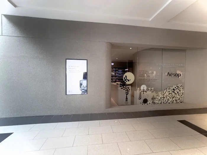 Aesop Roosevelt Field 3