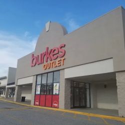 bealls ico
