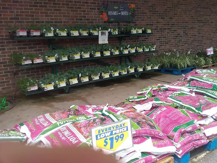 Roses Discount Store 9