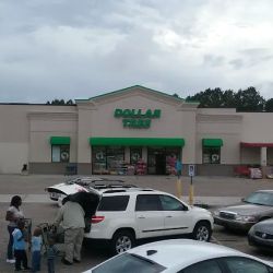 Dollar Tree ico
